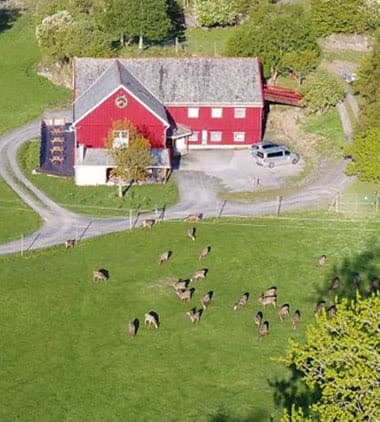 Stiftinga Norsk Hjortesenter
